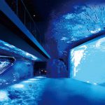 仙台うみの杜水族館 360° 大パノラマ PROJECTION